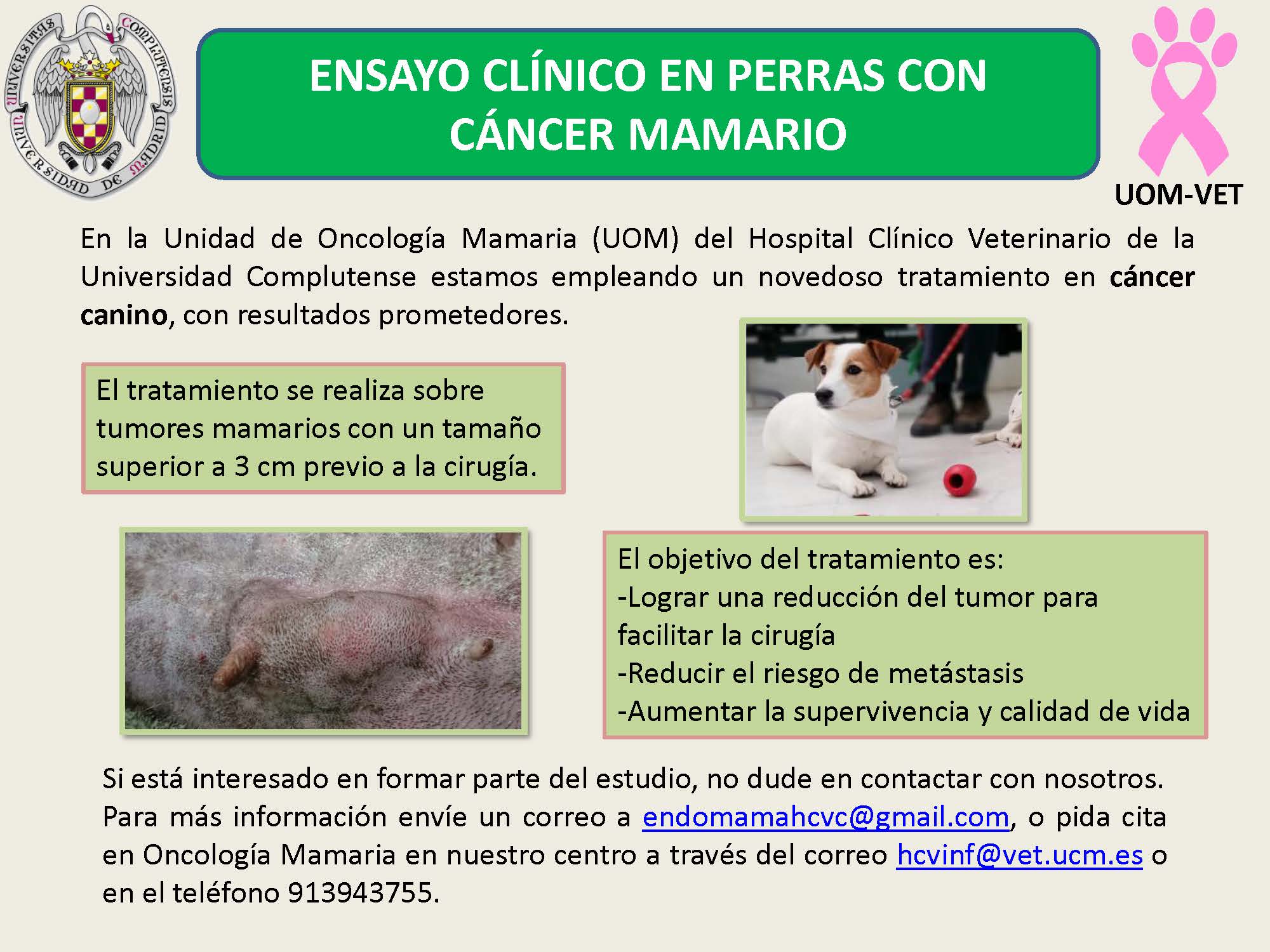 Ensayo clínico en perras con cáncer mamario